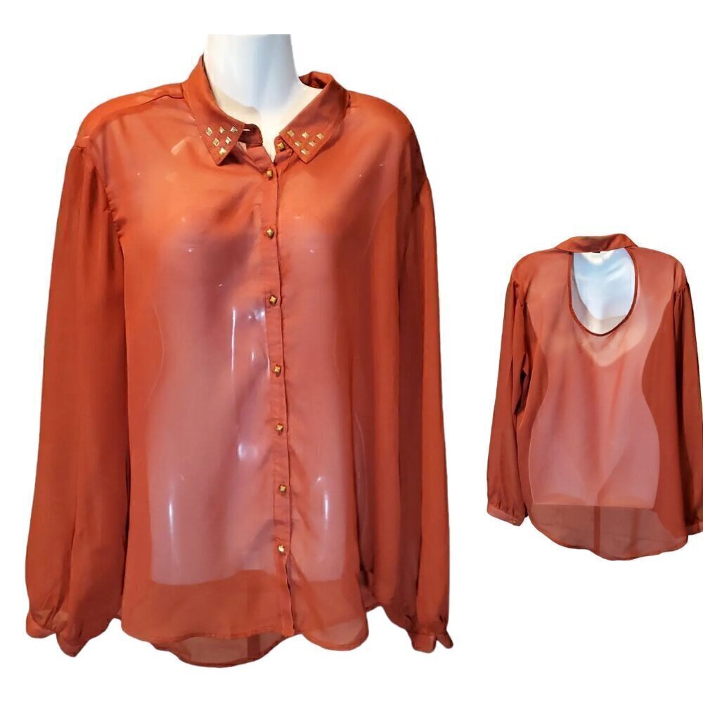 LONGE SLEEVE SHEER TOP SIZE 2X
